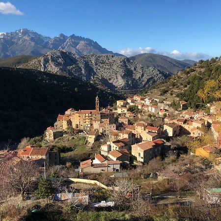 Charmant F2 Dans Joli Village Corse Omessa Екстер'єр фото