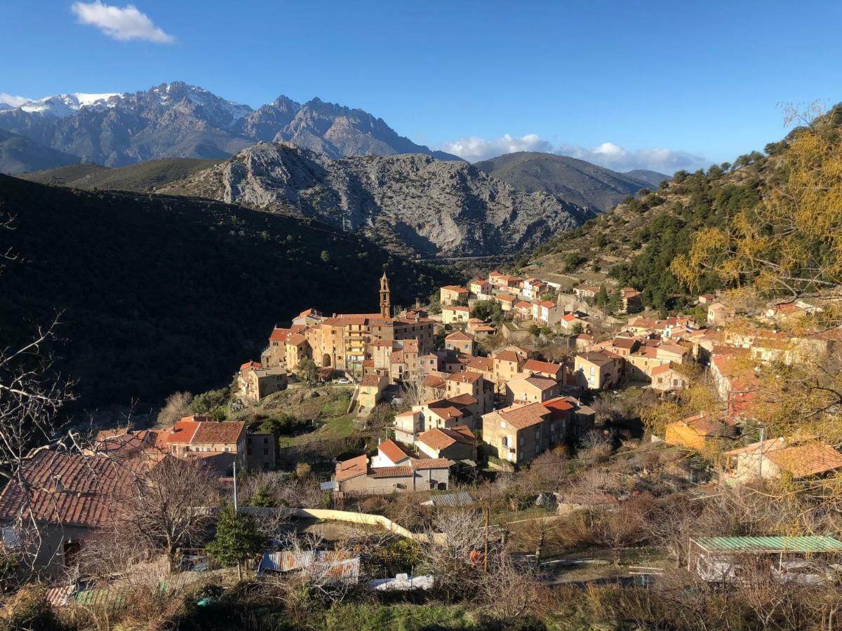 Charmant F2 Dans Joli Village Corse Omessa Екстер'єр фото